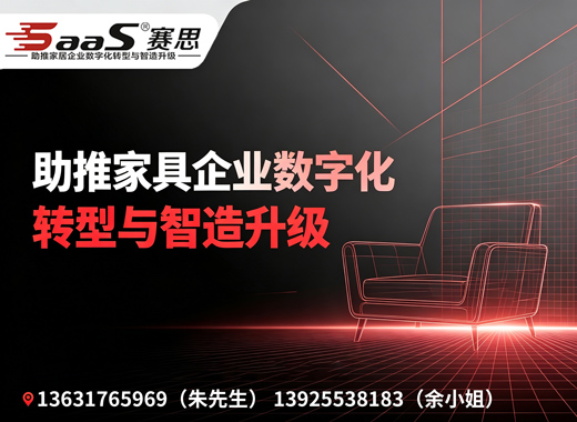 赛思软件